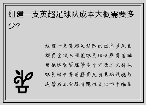 组建一支英超足球队成本大概需要多少？